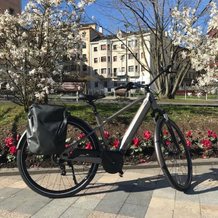 BICIS electricas vtc
