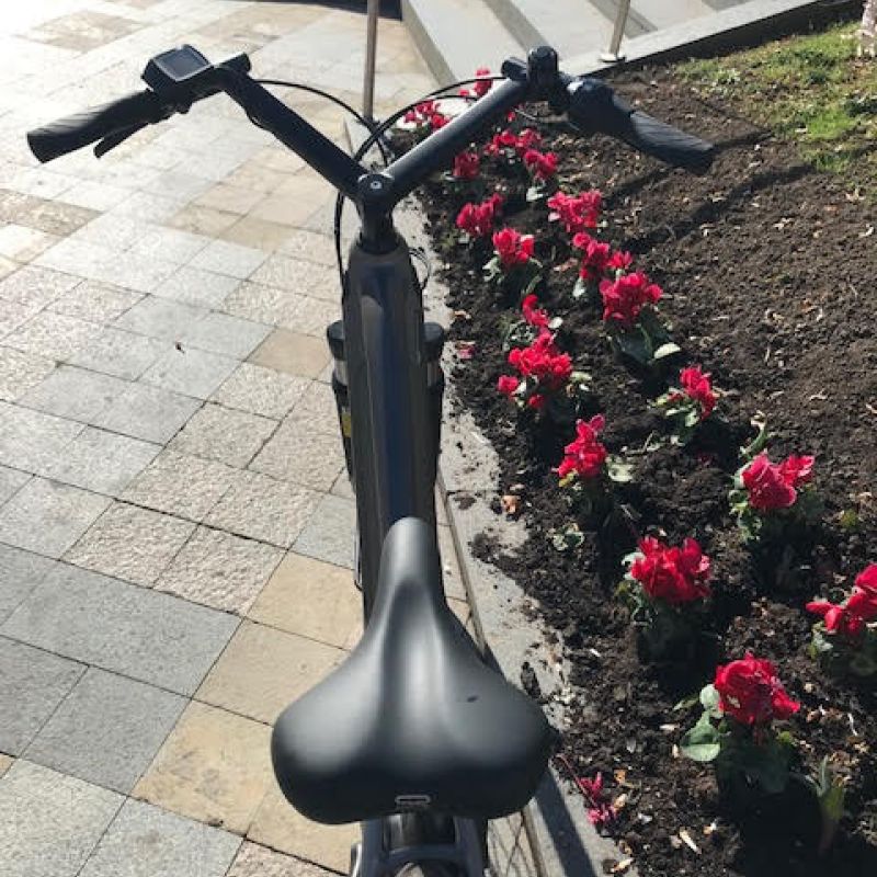 Moustache Samedi 28.3 500WH