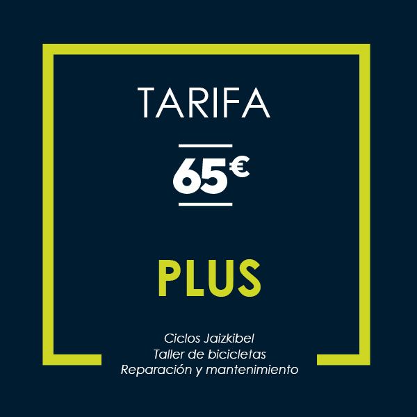 Taller de bicis en Irun
