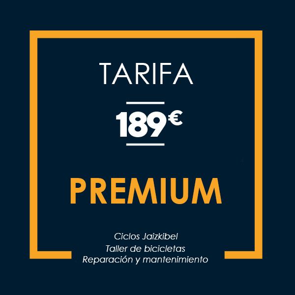 Taller de bicis en Irun