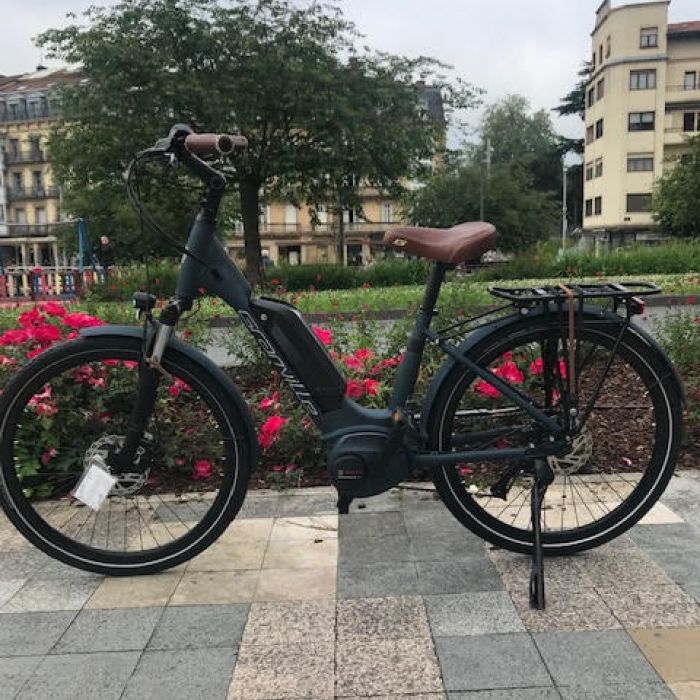 Bicis eléctricas